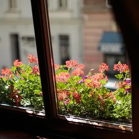 Boutique - Center - Kazimierz Cracovia